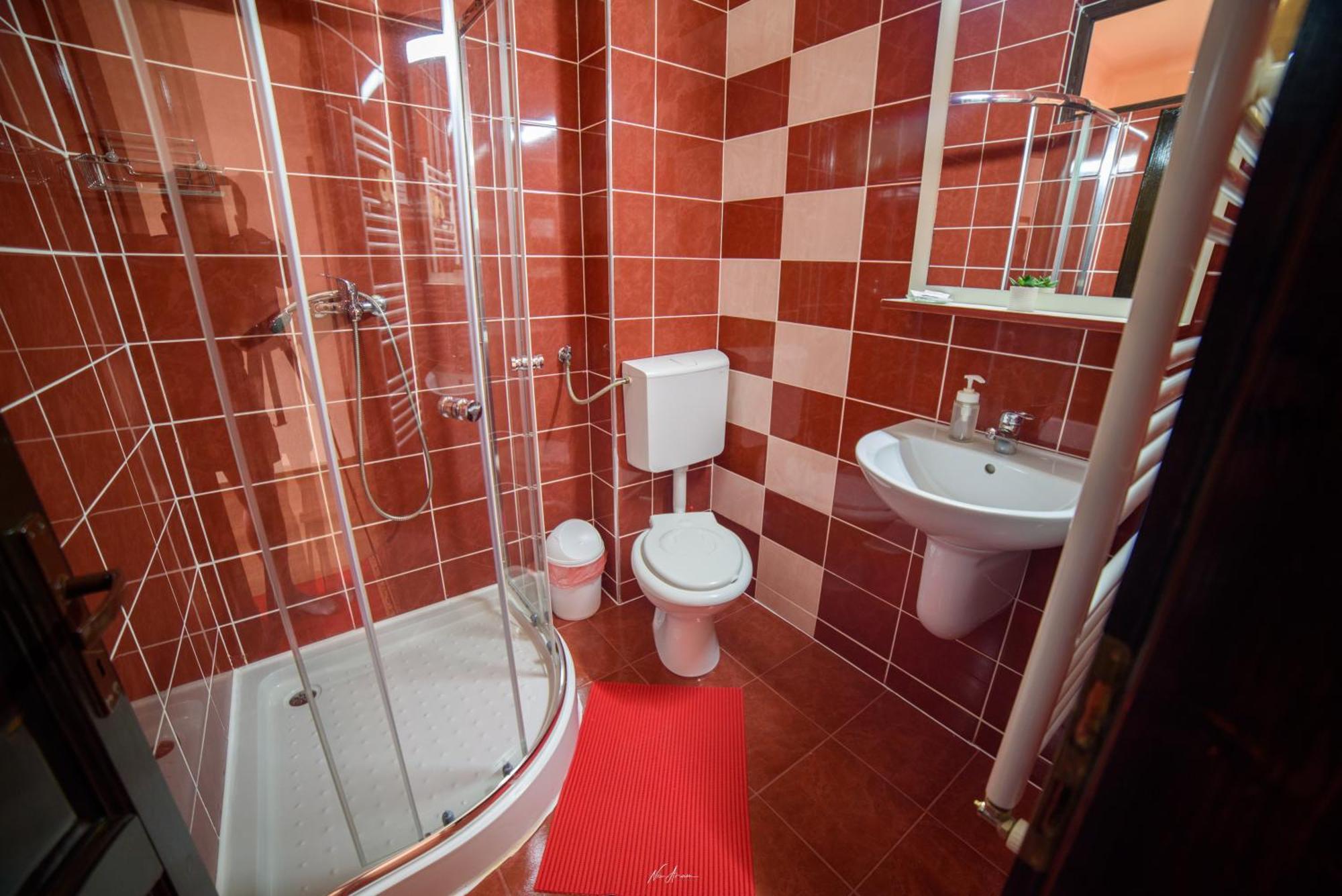 Casa Alina Villa Arieşeni Eksteriør billede