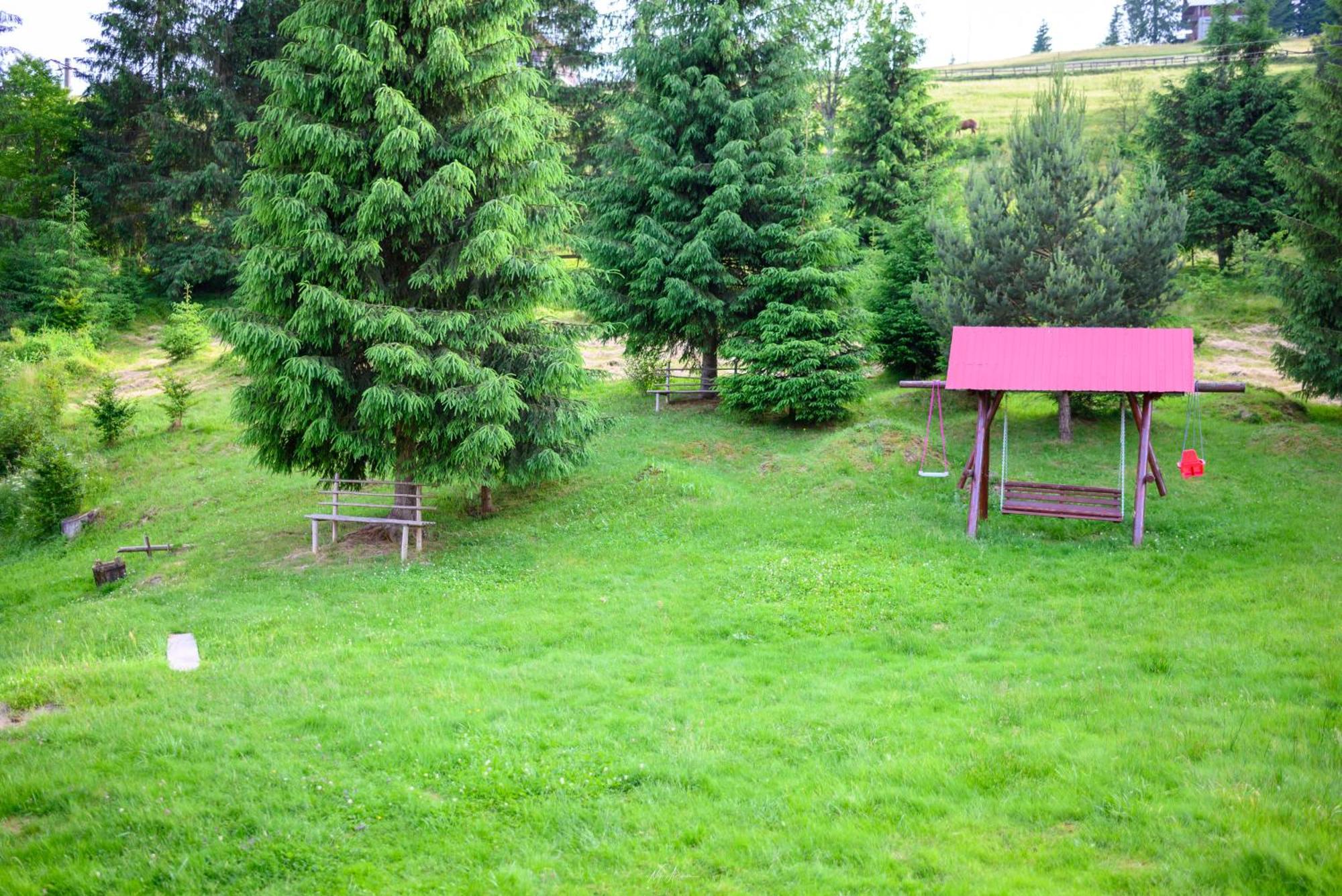 Casa Alina Villa Arieşeni Eksteriør billede